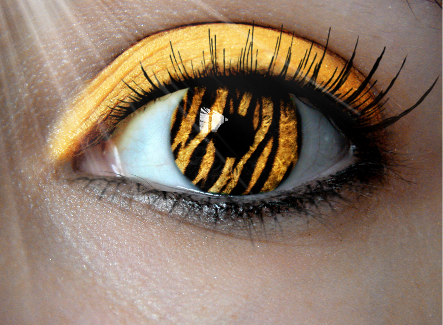 tiger eye contacts