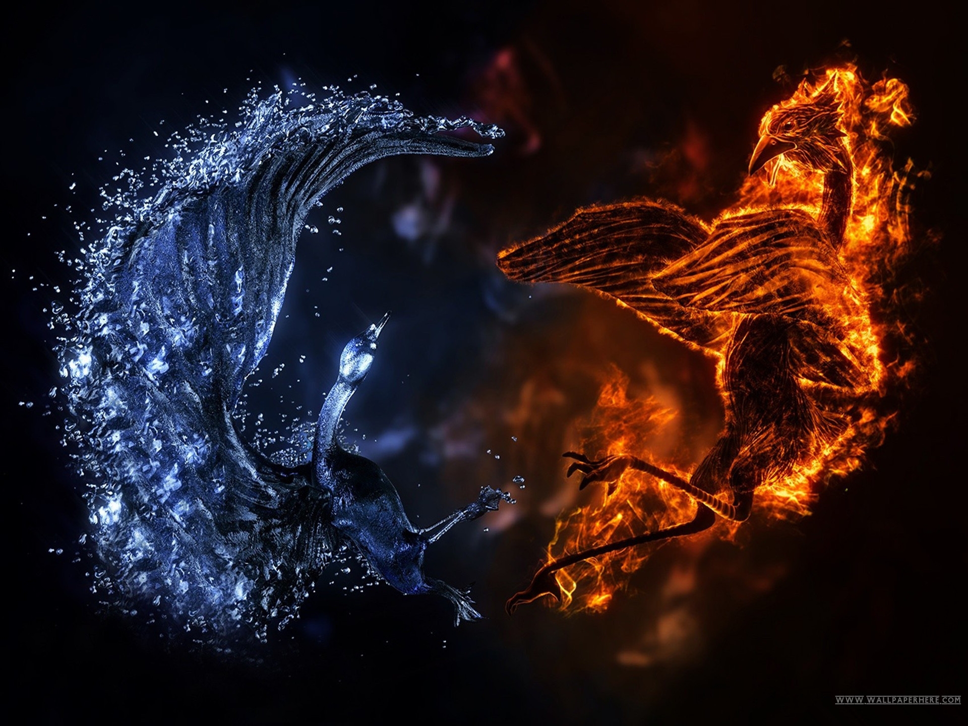 Ice vs Fire