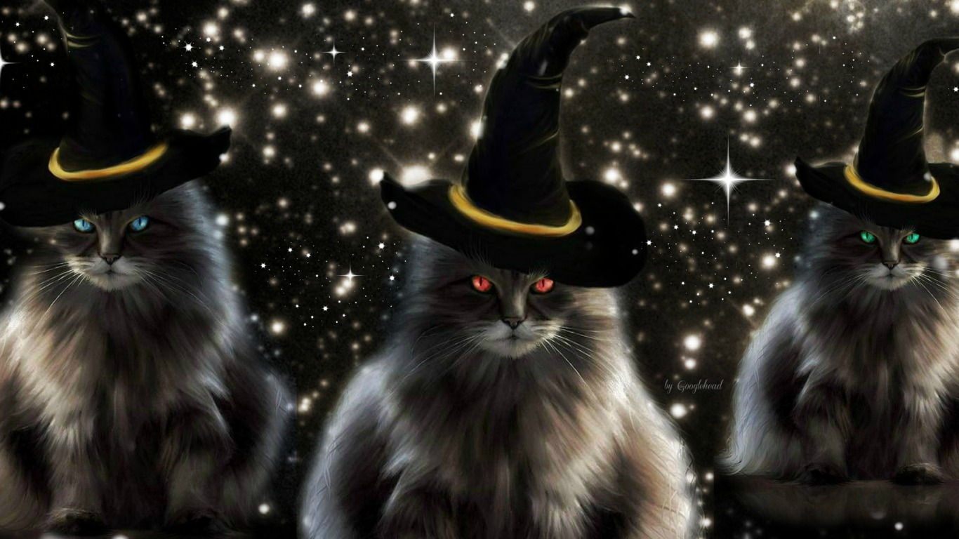 3 Witchy Kitties