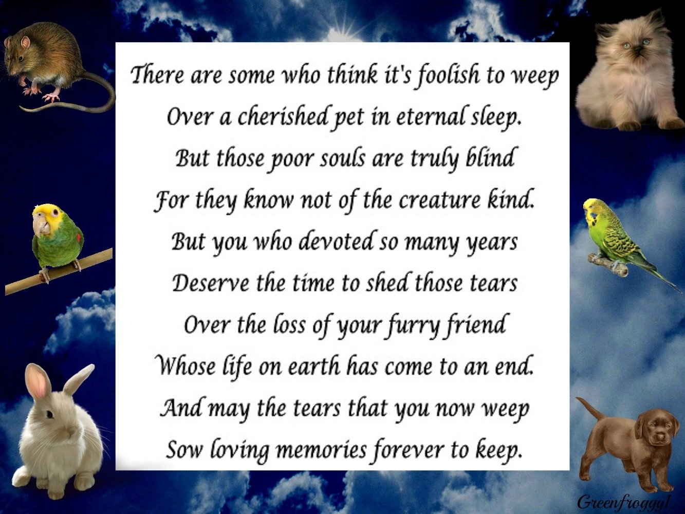 CHERISHED PETS by GREENFROGGY1