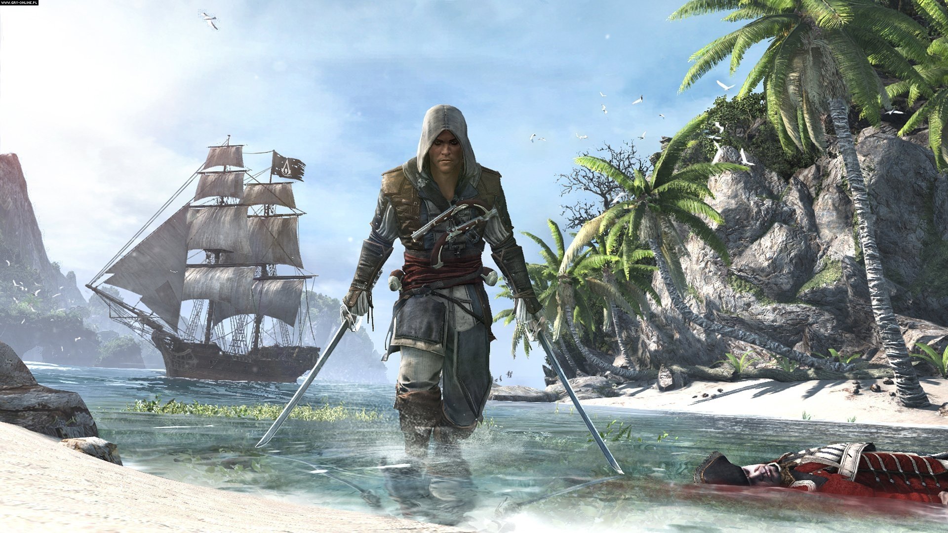 Download Video Game Assassin's Creed IV: Black Flag Art
