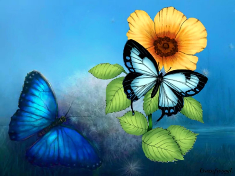  TWO BUTTERFLIES