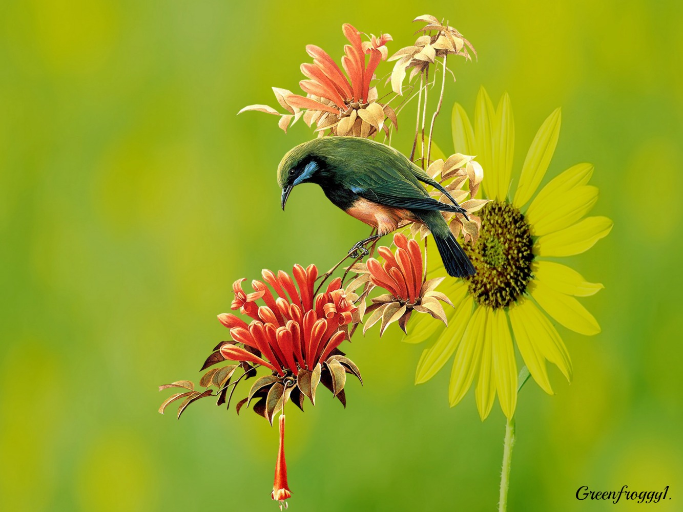 BIRD ON FLOWERS by GREENFROGGY1