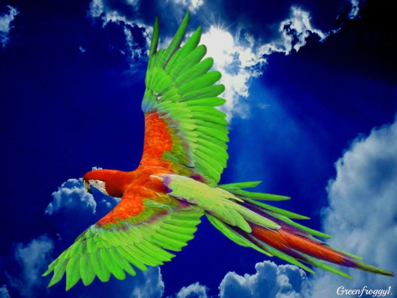 A vibrant parrot, with striking green and red plumage, soars gracefully against a dramatic blue sky with rays of sunlight breaking through the clouds.