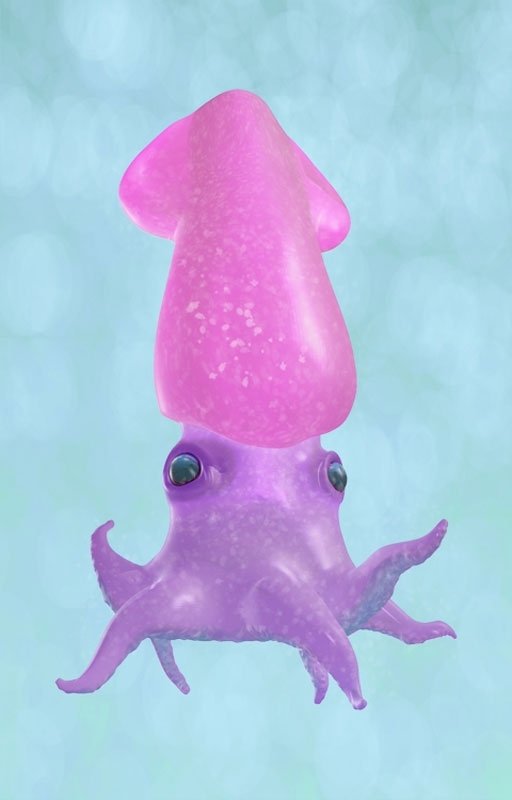 Download Animal Squid Marine Life Underwater Pink Art