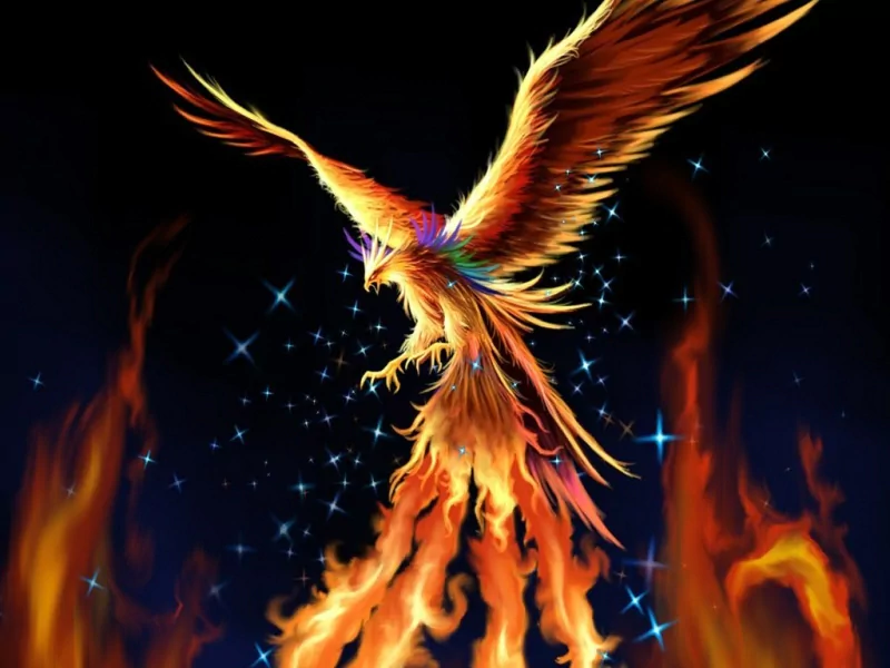 A fantasy phoenix rising from blazing flames, wings outstretched in fiery golds, reds and oranges with scattered stars against a dark sky.