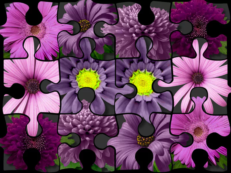  PURPLE FLOWER JIGSAW COLLAGE