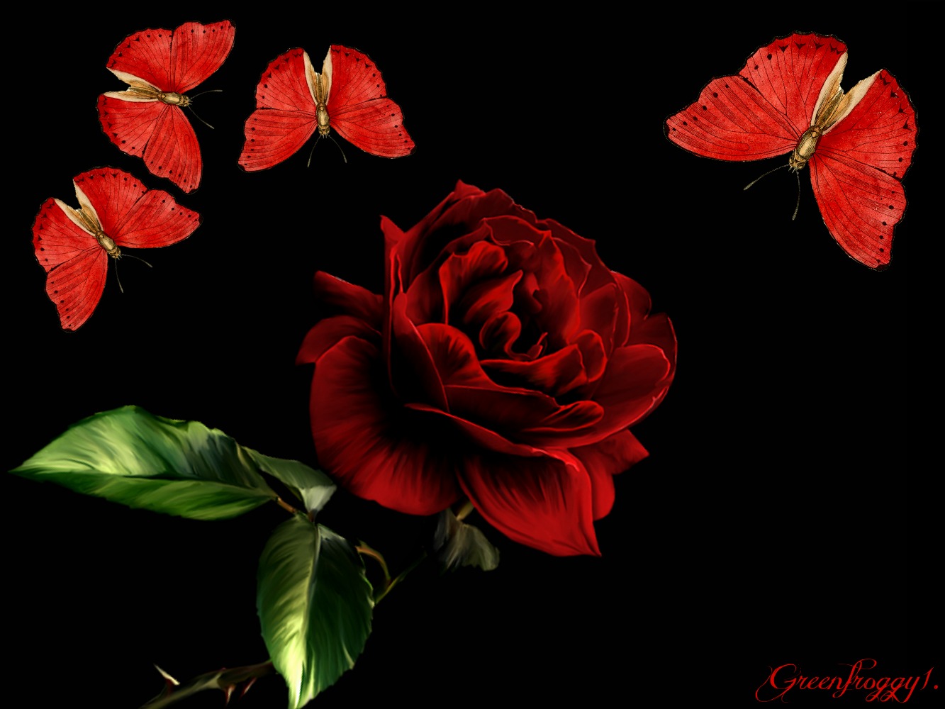RED BUTTERFLIES WITH ROSE by GREENFROGGY1