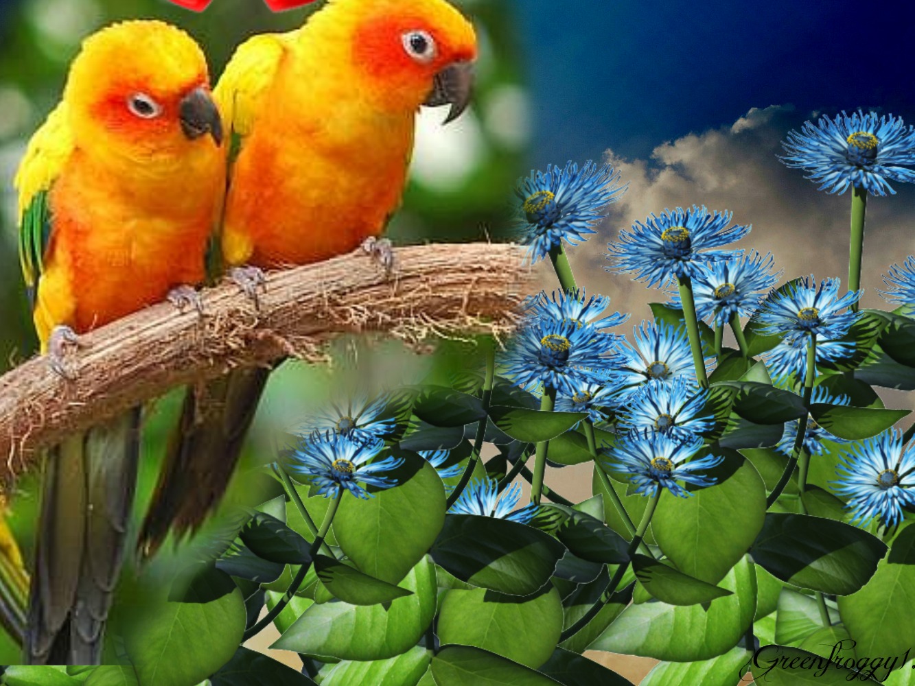 LOVE BIRDS Art - ID: 64399
