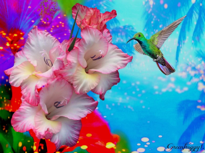 Artistic artwork of a green hummingbird hovering beside pink gladiolus blossoms against a vivid, abstract blue-red background with colorful bokeh.