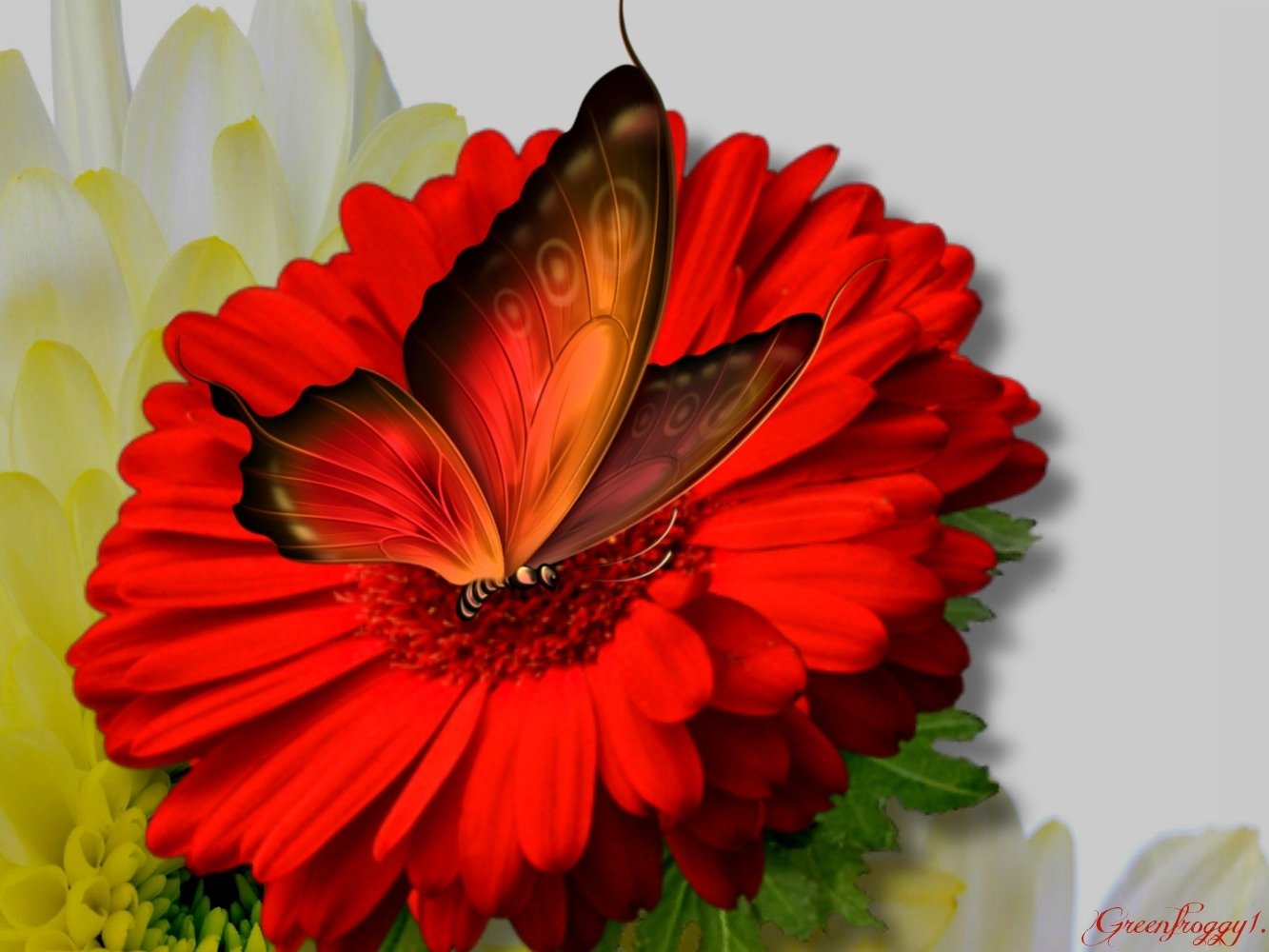 Artistic close-up of a vivid red flower topped by an orange butterfly, with soft pale blooms fading into the background.