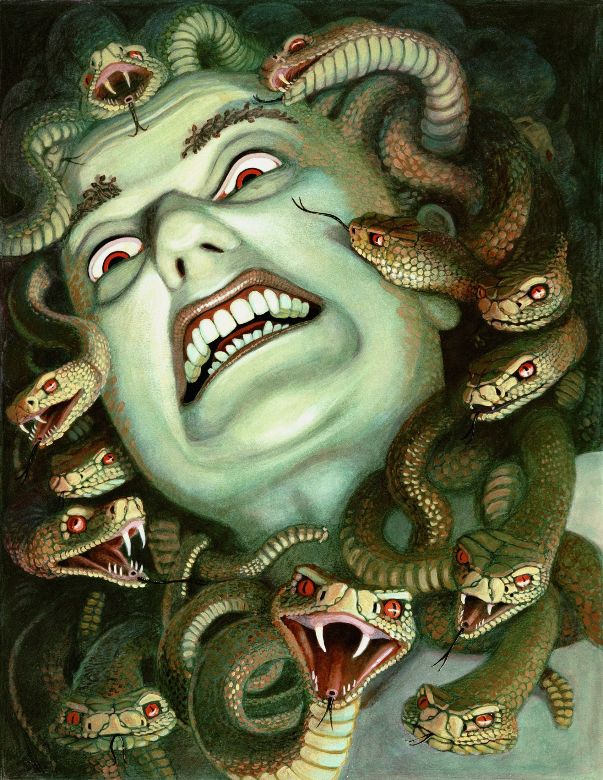 A fantasy depiction of Medusa with pale green skin, wide eyes, and a menacing expression, her head surrounded by numerous aggressive snakes.
