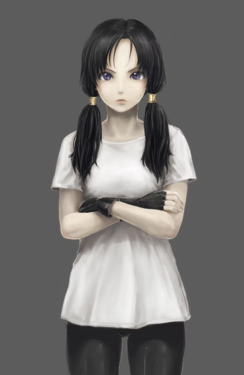 A character in an anime style, inspired by Dragon Ball, stands with arms crossed, featuring long black hair in pigtails and wearing a simple shirt and gloves against a gray background.