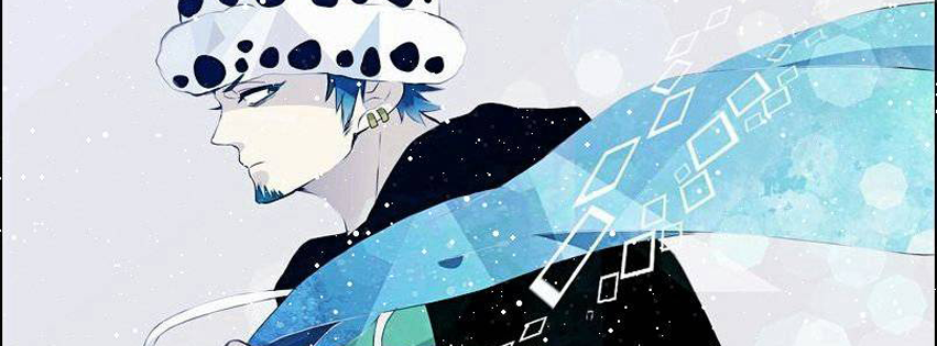 anime one piece facebook covers