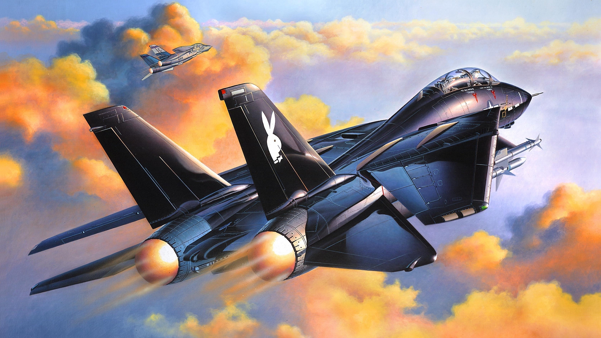 Grumman F-14 Tomcat Art