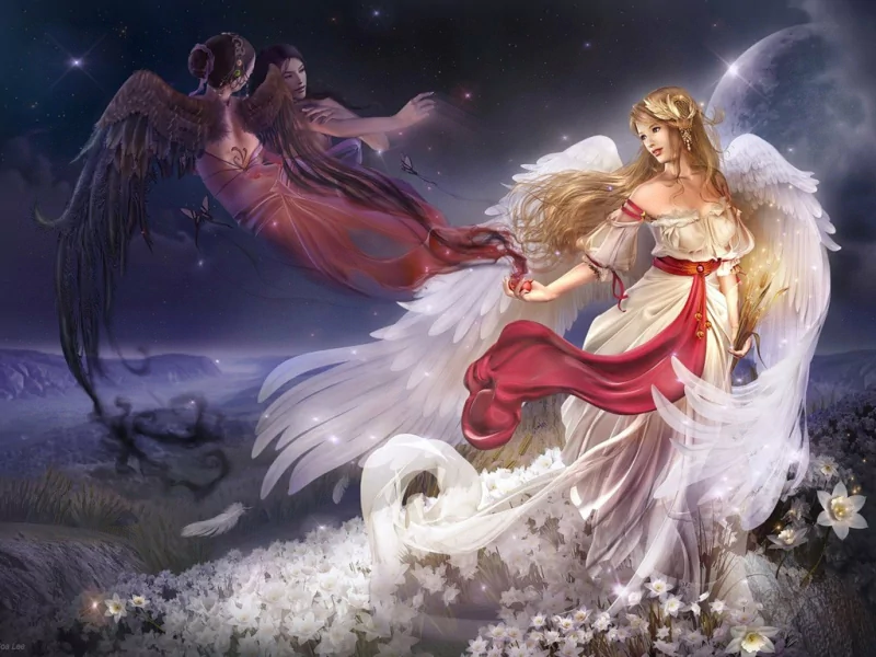 A radiant fantasy angel in flowing white and red robes reaches out to a darker, shadowy winged figure amidst a mystical night scene filled with glowing flowers.