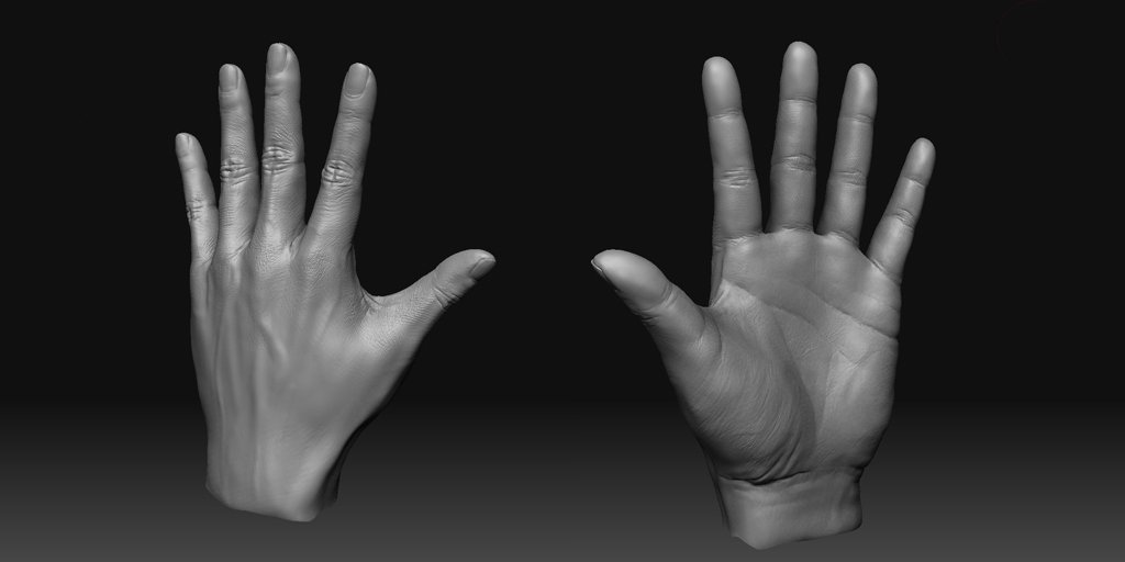 Download Artistic Digital Art Hand Anatomy 3D Model Art