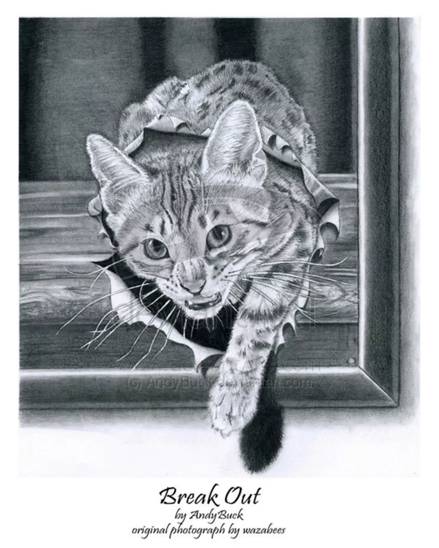 A detailed drawing of a cat emerging through a torn piece of paper, showcasing its expressive face and dynamic pose, titled Break Out by Andy Buck.