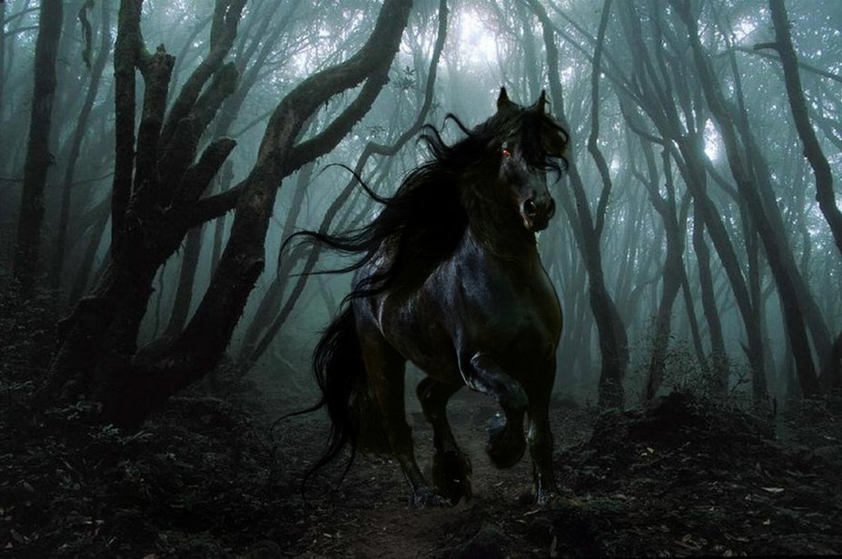 A black horse gallops through a misty, dark forest, its mane flowing dramatically in the eerie atmosphere, surrounded by twisted trees and dense fog.