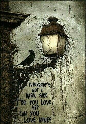  Crow on Lamp