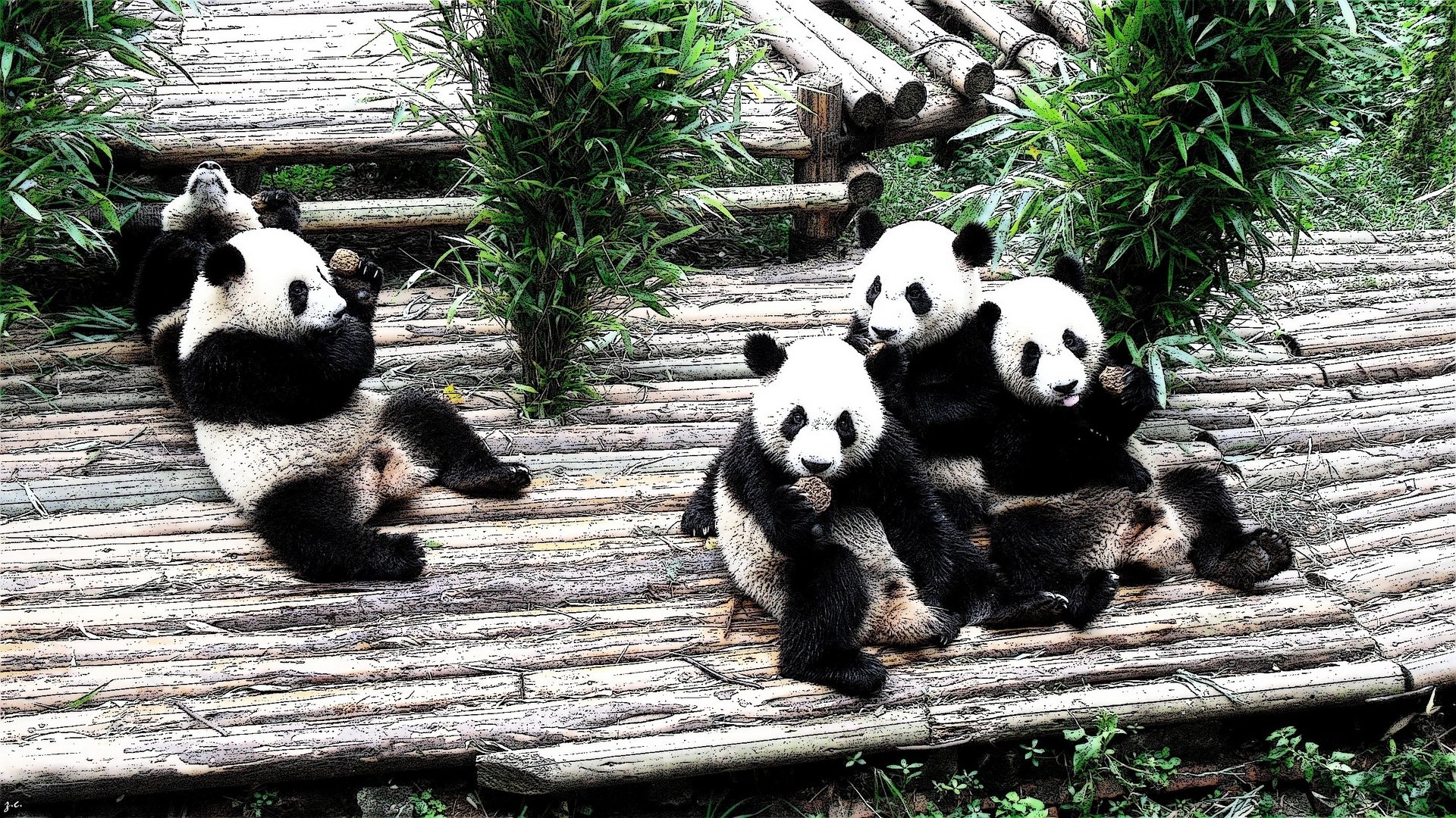 Pandas tuple