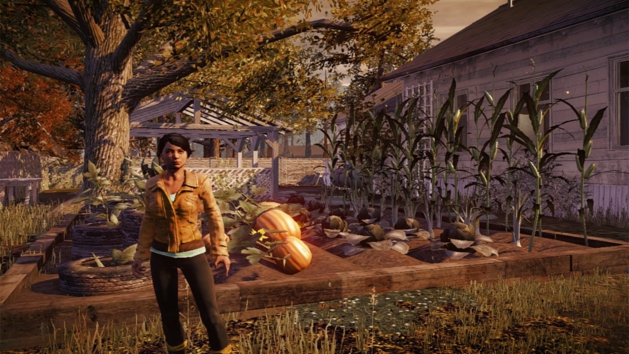 Download Video Game State Of Decay Art