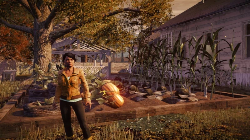 video game State of Decay Image