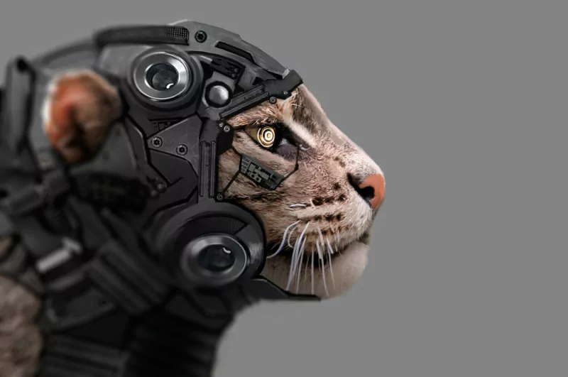 A sci-fi robotic cat with detailed cybernetic enhancements integrated into its animal features, showcasing a blend of organic and mechanical design.