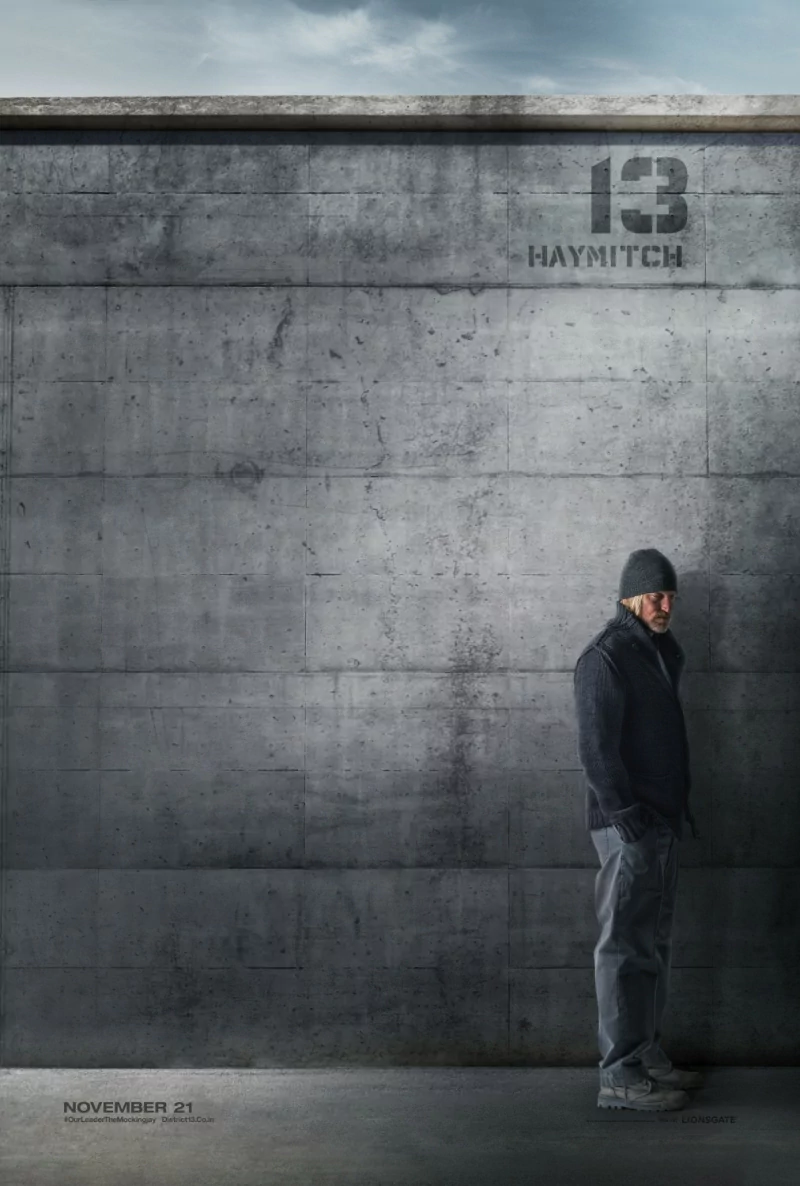 movie the hunger games: mockingjay Image