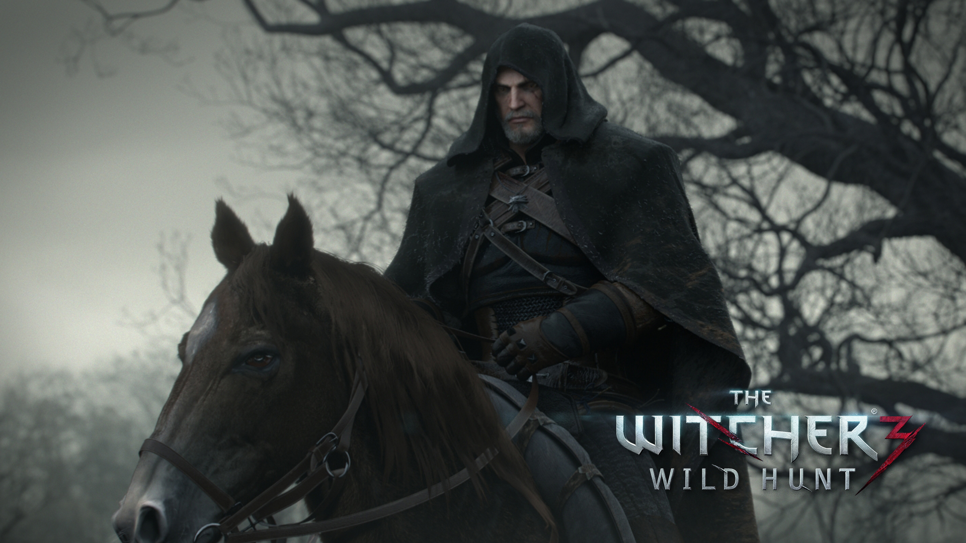 The Witcher 3: Wild Hunt Art