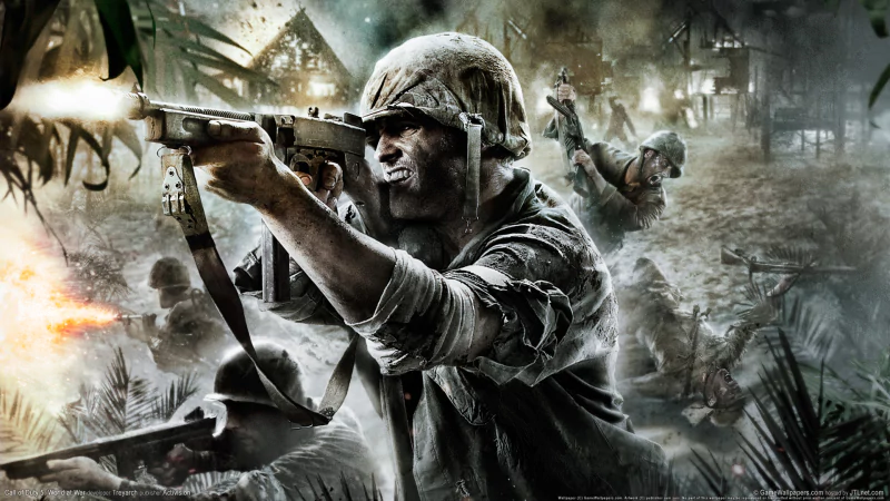 video game Call of Duty: World at War Image