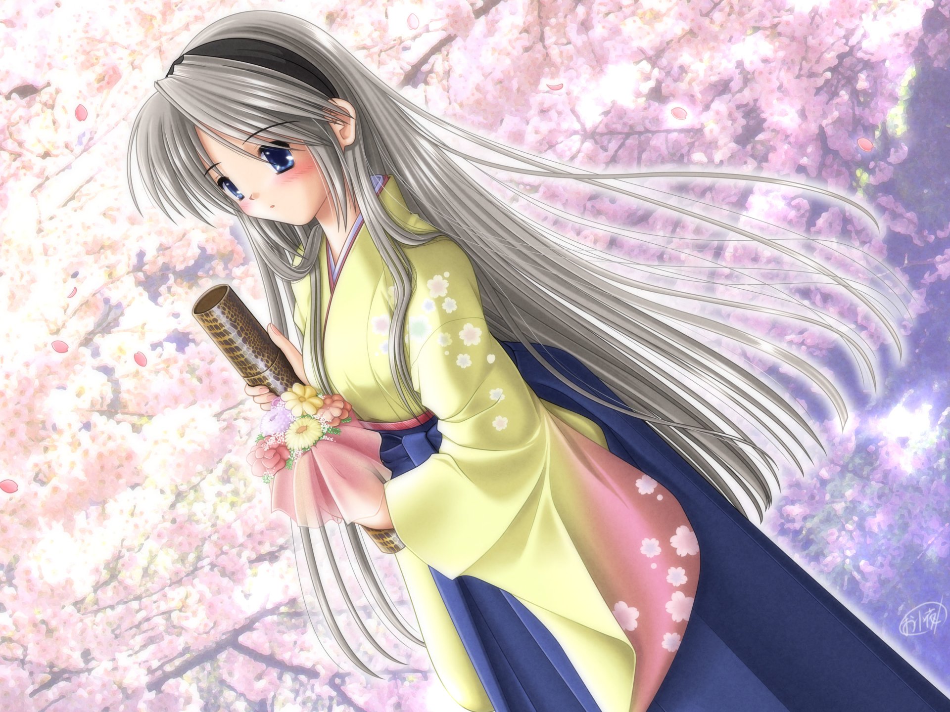 Clannad anime: silver‑haired girl in a yellow kimono and navy hakama stands beneath cherry blossoms, holding a ribbon‑tied scroll and small bouquet as petals drift around.