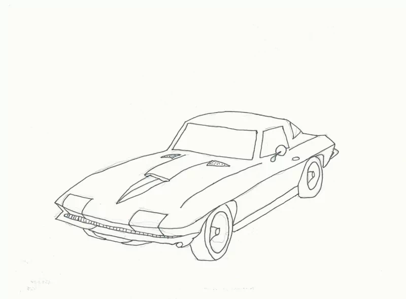  stingray
