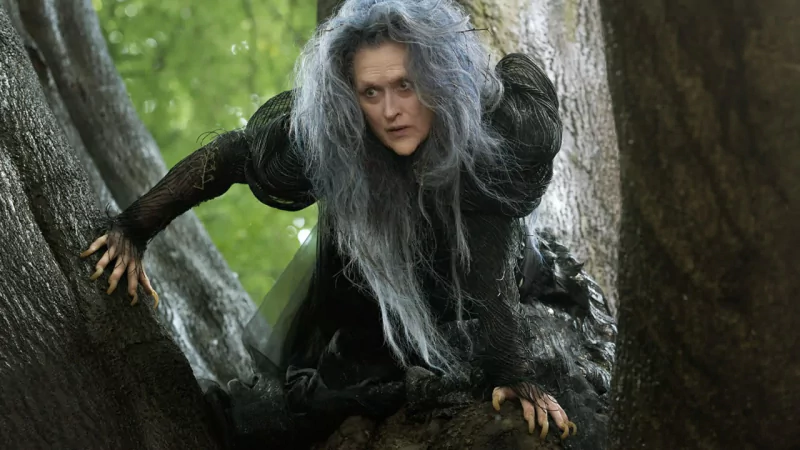  Into The Woods (2014), The Witch