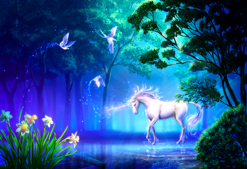 Fantasy Unicorn Art