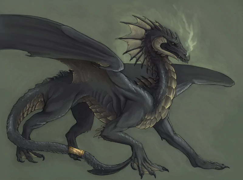 fantasy dragon black dragon Image