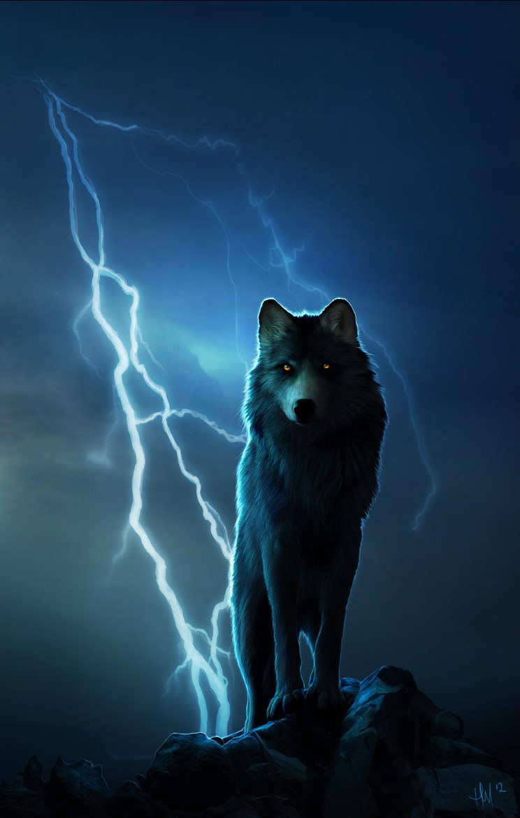 Wolf Dragon Wallpaper ~ Wolf Lightning Wolves Anime Fantasy Animals