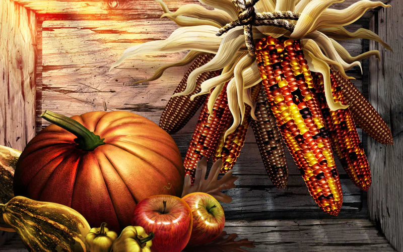 holiday Thanksgiving Image