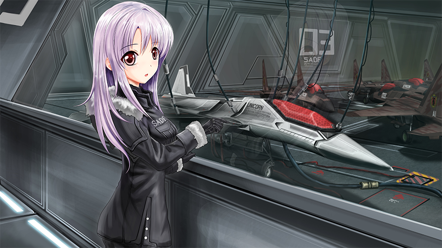 Download Video Game Ace Combat 6: Fires Of Liberation Art