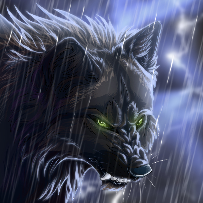Fantasy Wolf Art by WolfRoad