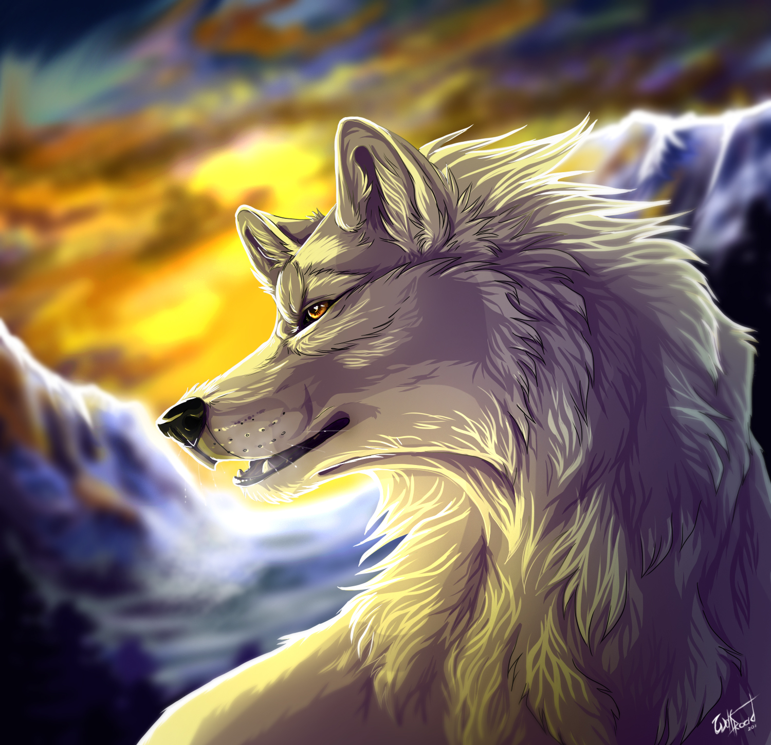 White wolf by WolfRoad