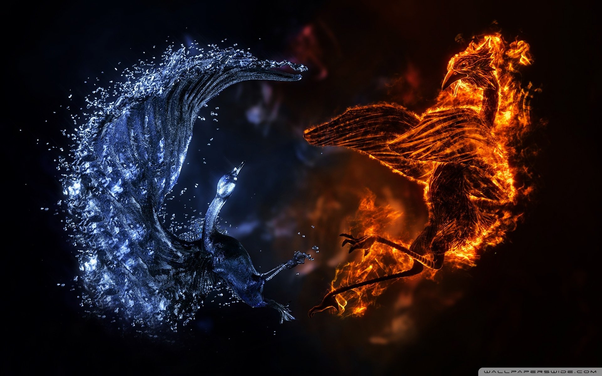 Download Fantasy Bird Fire And Ice Art