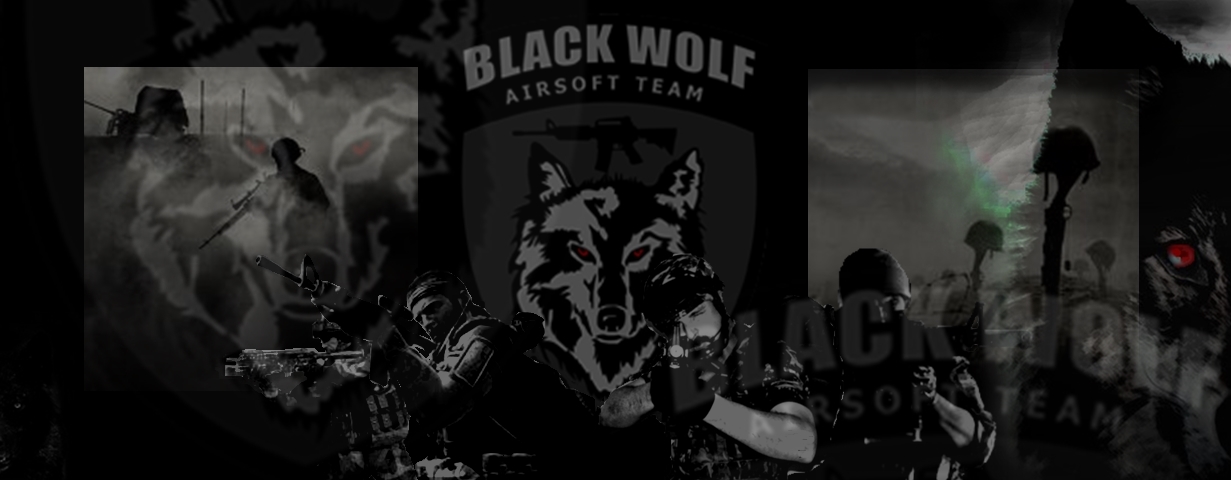 Black Wolf by silvio