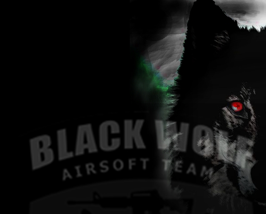 Black Wolf by silvio