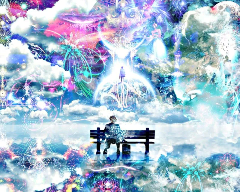  trip lands