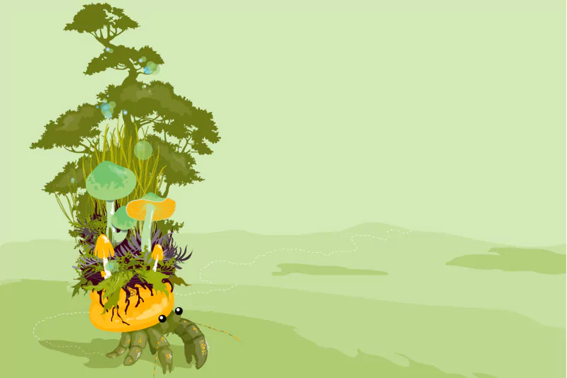 artistic nature Image