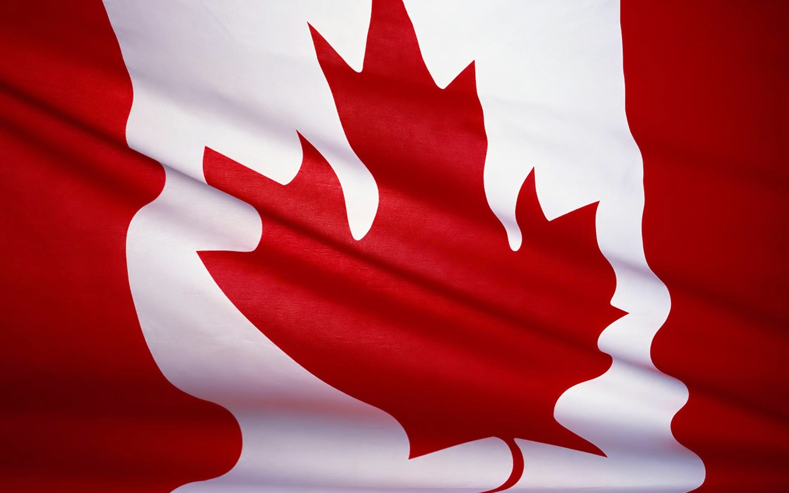 Flag Of Canada Art