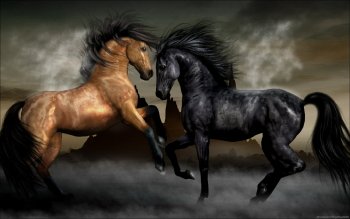 Sub-Gallery ID: 4179 Horses