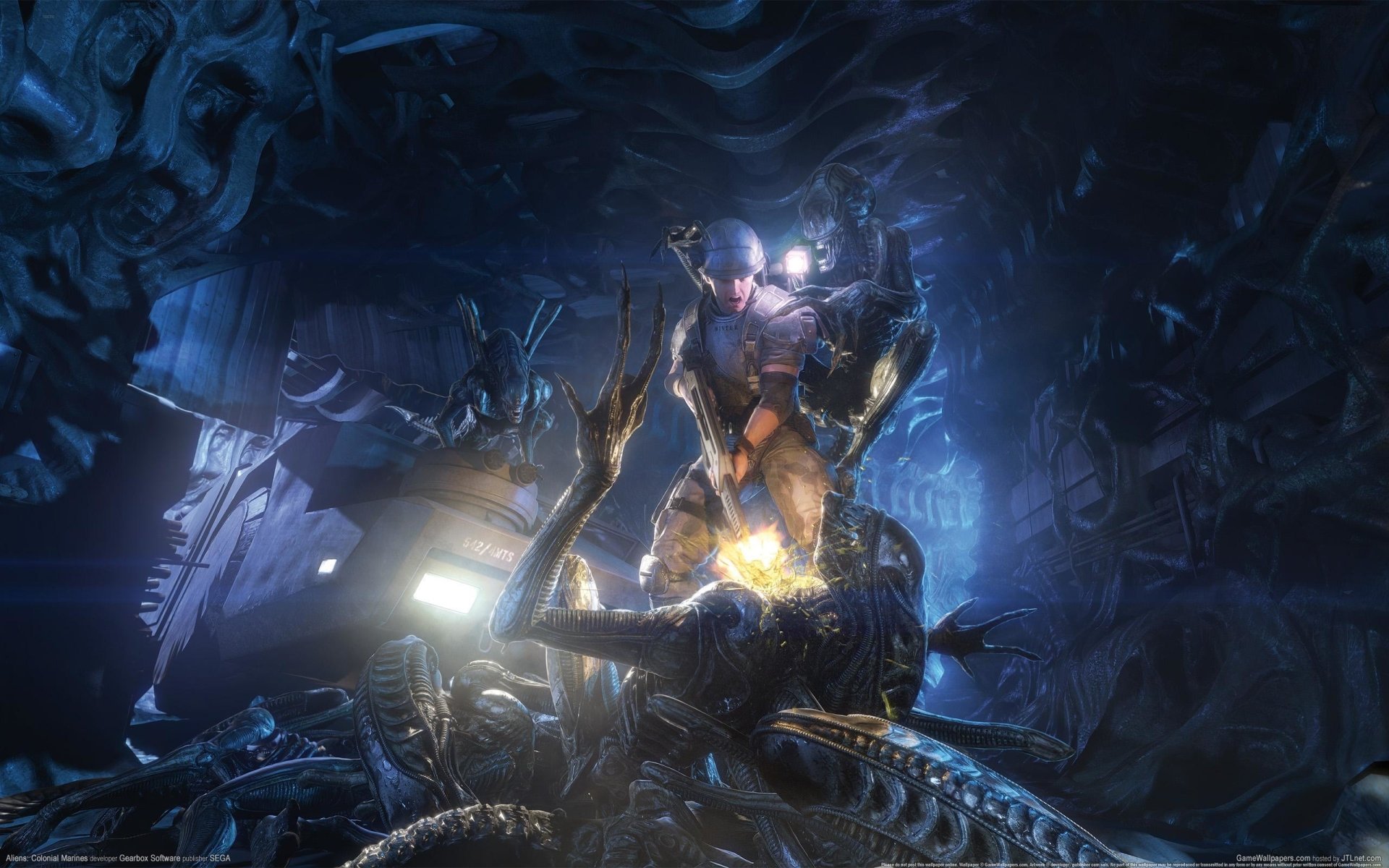 Download Video Game Aliens: Colonial Marines Art