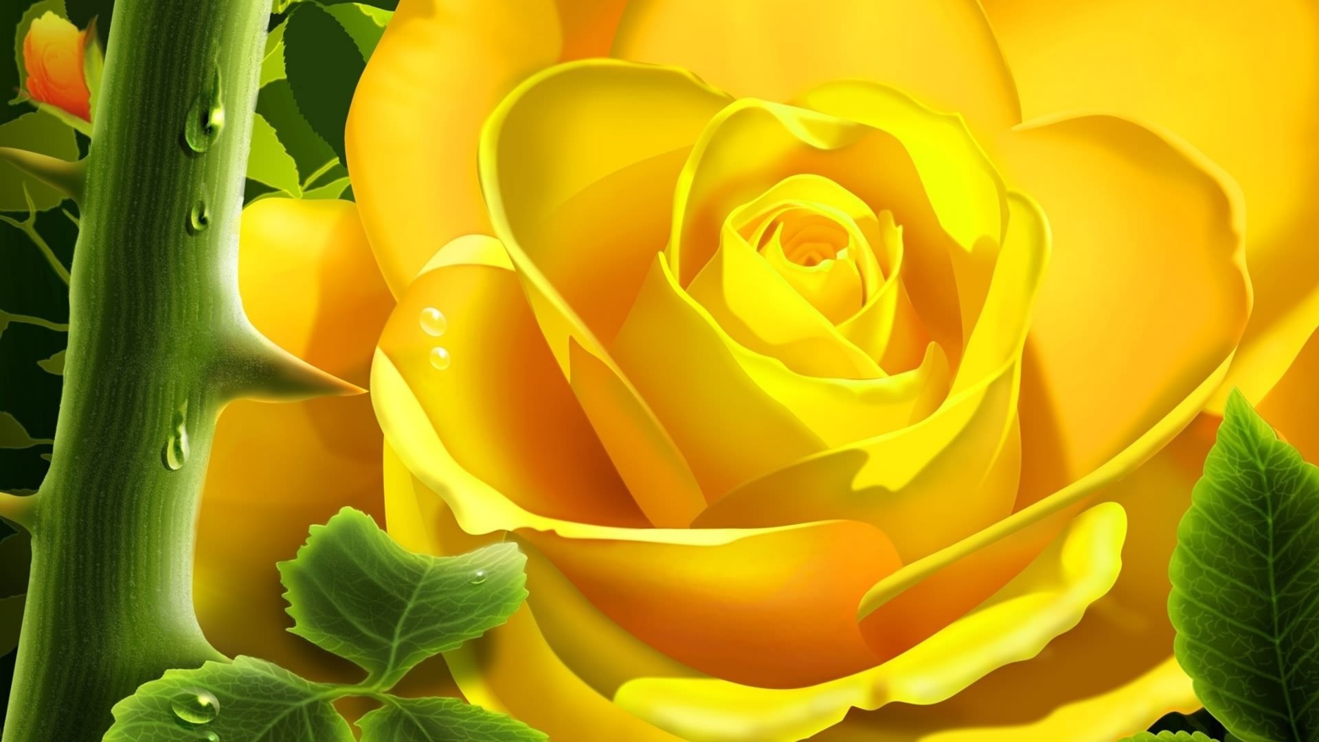 Yellow Rose